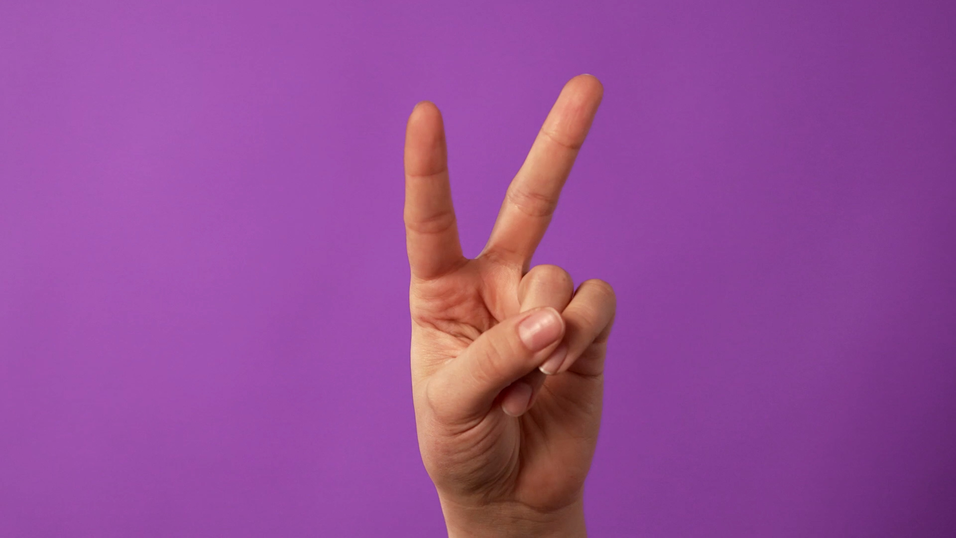 Dan Barham Director Of Photography Cinematographer Photographer 