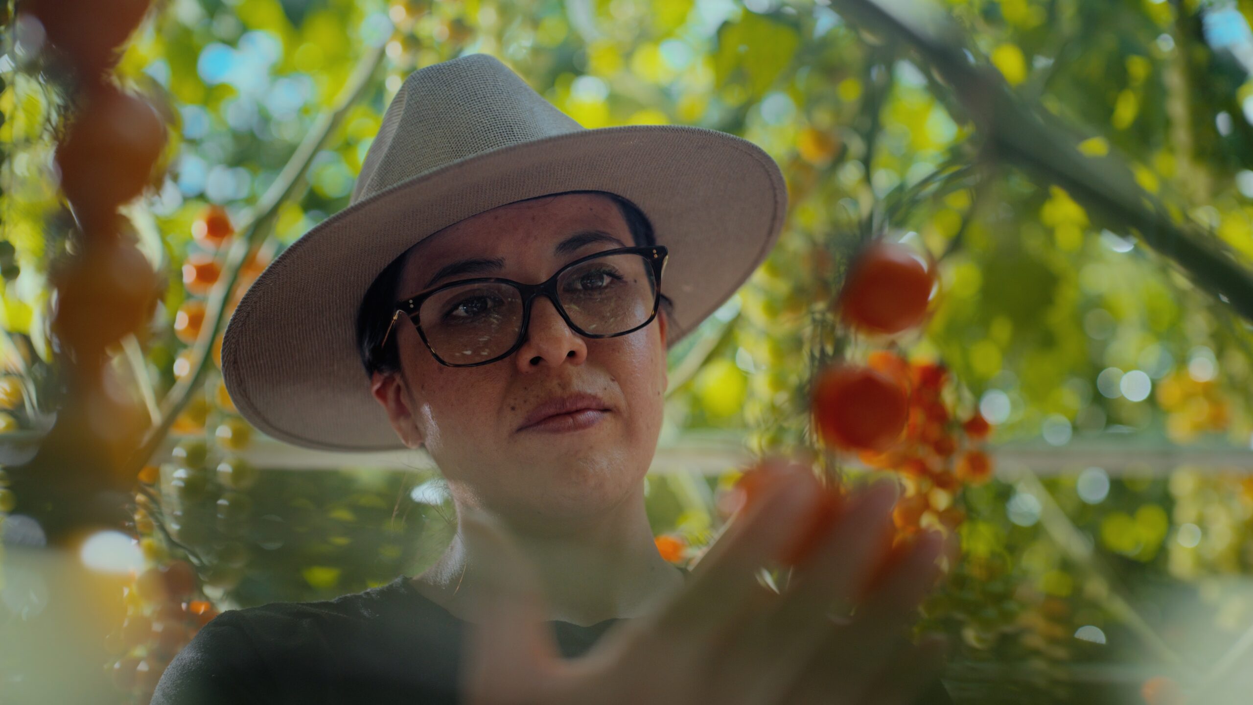 Windset Farms &mdash; Dan Barham DOP